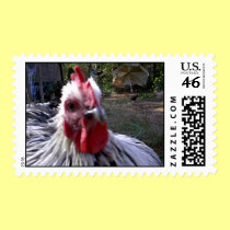 Chup-Chup, Buddy's pet rooster postage