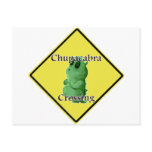 Chupacabra Crossing Postcards
