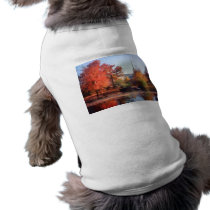 Church in autumn pet clothing
