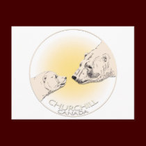 Churchill Canada Postcard Polar Bear Art Cards postcards