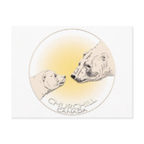 Churchill Canada Postcard Polar Bear Art Cards