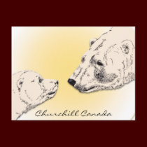 Churchill Canada Postcard Polar Bear Art Cards postcards