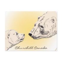 Churchill Canada Postcard Polar Bear Art Cards