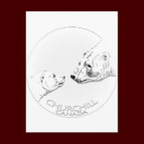 Churchill Souvenirs Polar Bear Art Shirts & Gifts postcards