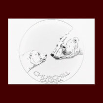 Churchill Souvenirs Polar Bear Art Shirts & Gifts postcards