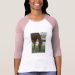 Ladies 3/4 Sleeve Raglan (Fitted)