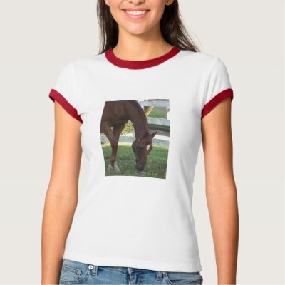 Churchill Tshirts by HorseAbility