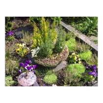 Churchyard Flowerbed 1 posters