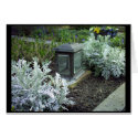 Churchyard Flowers 2 cards by janMarco Churchyard Flowers 2 cards