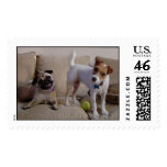 Chynna & Treason postage
