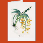 orchid, boanical, print, flora, tropical, exotic,