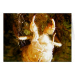 Cicada Claws Card