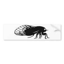 Cicada - Magicicada - Emergence of Amazing Insect Bumper Stickers