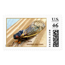 Cicada postage