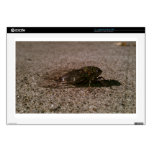 Cicada Skin For Laptop