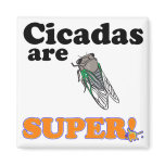 cicadas are super refrigerator magnet
