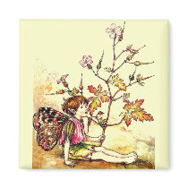 Cicely Mary Barker Herb Robert Flower Fairy Magnet