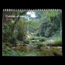 Cichlids of Mexico calendars