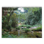 Cichlids of Mexico Calendars