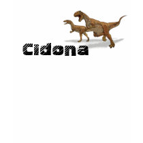 Cidona Dino t-shirts
