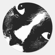 Cierre blanco y negro de la cara del gato para arr etiqueta redonda