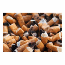 Cigarette Butts Acrylic Cut Out