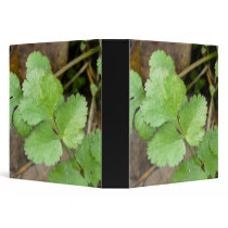 Cilantro Vinyl Binder