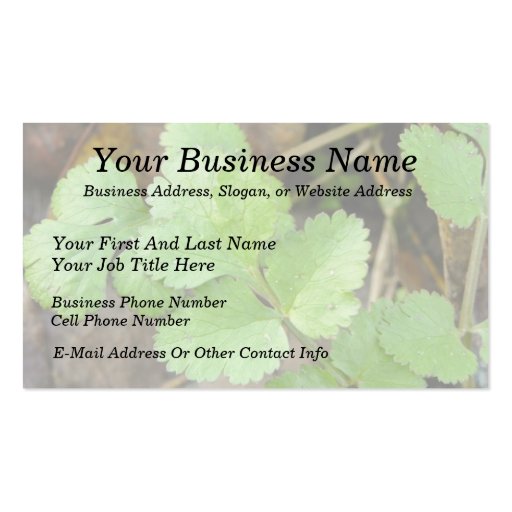 Cilantro Business Card (front side)