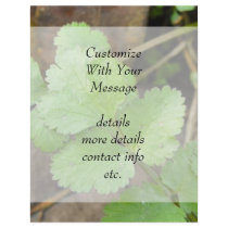 Cilantro Flyer Design