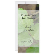 Cilantro Full Color Rack Card