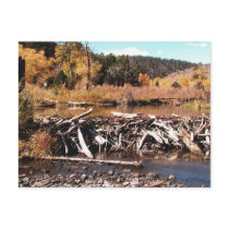 Cimarron Beaver Dam Postcards