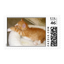 CIMG0104 postage by maryyounger CIMG0104 postage
