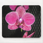 CIMG2003 MOUSEPAD CIMG2003 MOUSEPAD