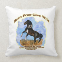 Cinch Throw Pillow pillows