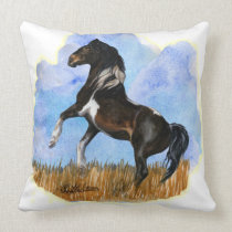 Cinch  Throw Pillow 2 pillows