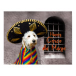 Cinco de Mayo - Kati Collection Poster