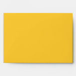 Cinco De Mayo Man Envelope