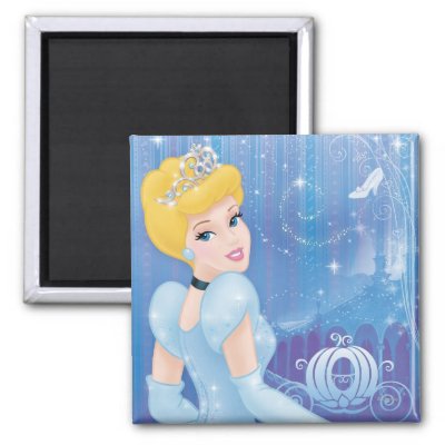 Cinderella Princess magnets