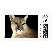 Cindy postage by cougartime Cindy postage