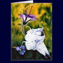 Cindy's Lily cards