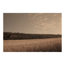 Cinematic Landscape of Wheat Fields posters