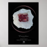 CINNABAR POSTERS