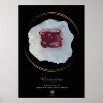 CINNABAR POSTERS