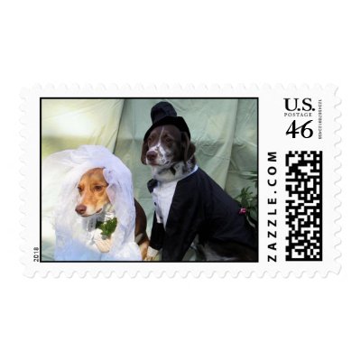 Cinnamon and Hershey Postage by tdoodlebug