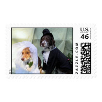 Cinnamon and Hershey Postage