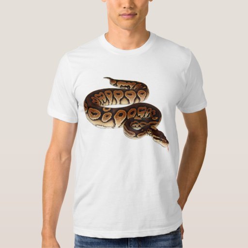 python tee shirt