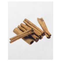Cinnamon bark full color flyer
