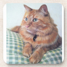 Cinnamon Cat Coasters