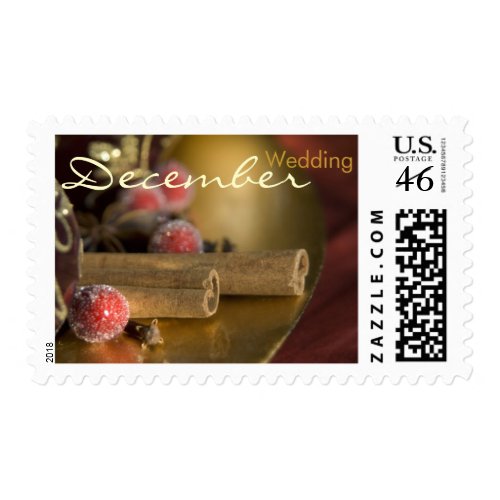 Cinnamon • December Wedding Stamp stamp
