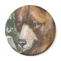 Cinnamon Grizzly Bear magnets